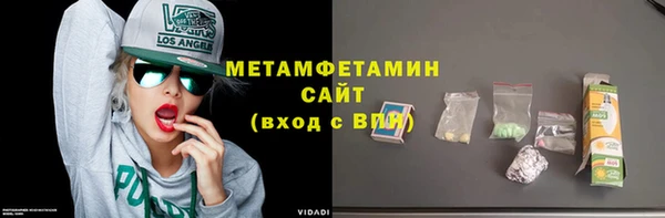 сатива Беломорск
