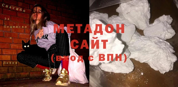 сатива Беломорск