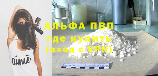 сатива Беломорск